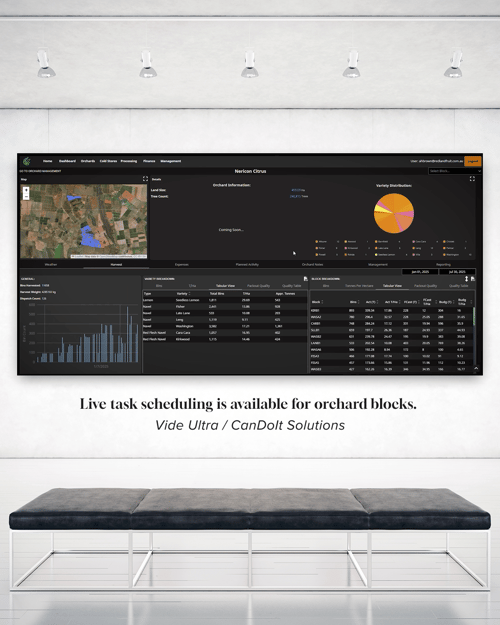 Vide Ultra - CanDoIt Solutions Case Study 1